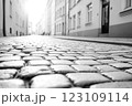 Walking down the black-and-white cobblestone street, you can't help but be captivated by its vintage charm, timeless aesthetic, and the soft glow of the morning light. 123109114