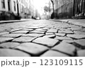 Black-and-white cobblestone street scene, vintage charm, timeless aesthetic, soft morning light 123109115