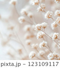 An abstract arrangement of dried flowers in soft neutral tones, desaturated textures, and a dreamy depth of field creates a calming atmosphere. 123109117