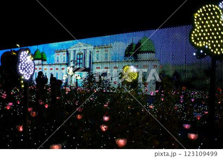 あしかがフラワーパーク　クリスマスイルミネーション 123109499