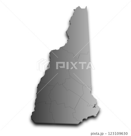 3d New Hampshire map state with color. United State of America, US, United State 123109630