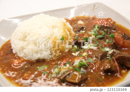 curry rice 123110169
