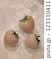 白いちご 123110411