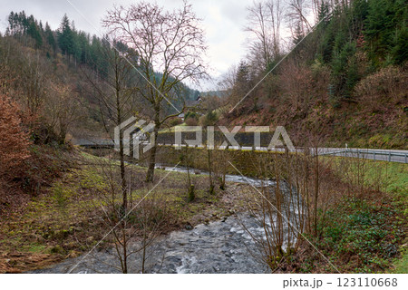 Scenic Mountain Stream Cascading Through Forest with Wooden Steps and Handrail Path. Natural Forest Waterfall with Hiking Trail and Mossy Rocks in Black Forest Wilderness Landscape. 123110668