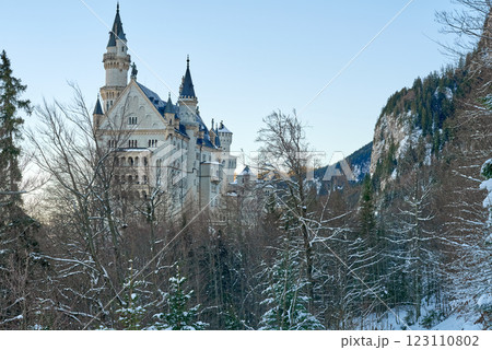 Neuschwanstein Castle in Snowy Winter Landscape with Gothic Revival Architecture, Surrounded by Evergreen Trees and a Winding Path Under Soft Golden Morning Light Neuschwanstein Castle in Snowy Winter Landscape with Gothic Revival Architecture, Surrounded by Evergreen Trees and a Winding Path Under Soft Golden Morning Light 123110802