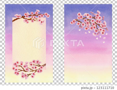 Vertical frames with blooming sakura with gradient background in pink, lilac Spring templates  123111710
