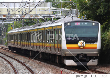 ［JN］南武線E233系電車（川崎市市制100周年記念ラッピング車両） 123111888