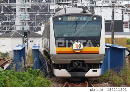 ［JN］南武線E233系電車（川崎市市制100周年記念ラッピング車両） 123111891