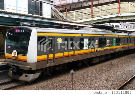 ［JN］南武線E233系電車（川崎市市制100周年記念ラッピング車両） 123111893