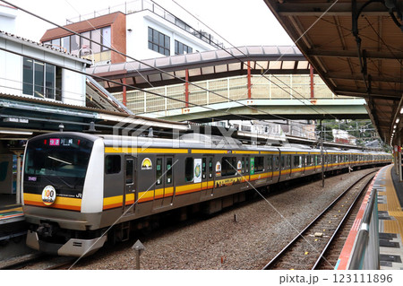 ［JN］南武線E233系電車（川崎市市制100周年記念ラッピング車両） 123111896