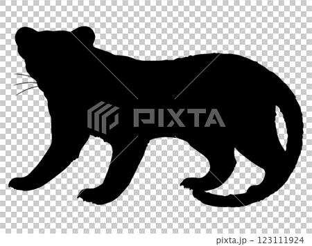 Hand drawn silhouette of a fossa 123111924
