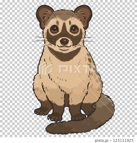 Hand-drawn illustration of a cute palm civet 123111925