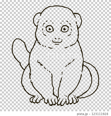 可愛いハイイロジェントルキツネザルのイラスト　線画のみ 123111928