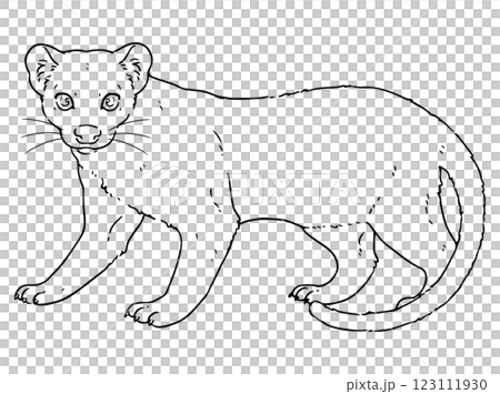 手描きのフォッサのイラスト　線画のみ 123111930