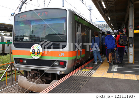 八高線・川越線E231系電車（八高線全線開通90周年マーク） 123111937