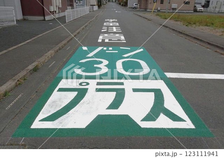 道路の路面表示　ゾーン30プラス 123111941