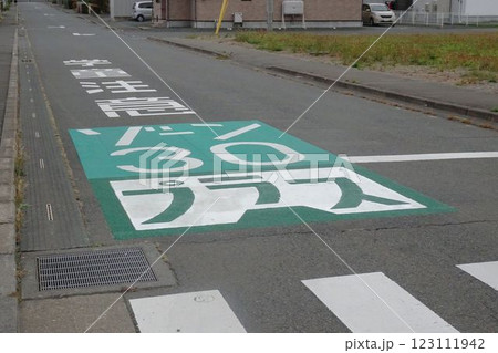 道路の路面表示　ゾーン30プラス 123111942