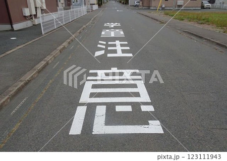 道路の路面表示 学童注意 道路の路面表示 学童注意 123111943