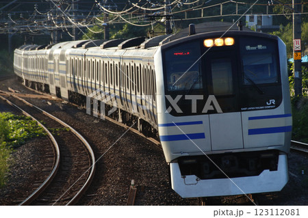 ［JO］外房線E217系電車（横須賀-総武線快速直通列車） 123112081
