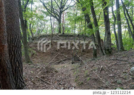 桐原城跡　主郭の土塁と石垣 123112214