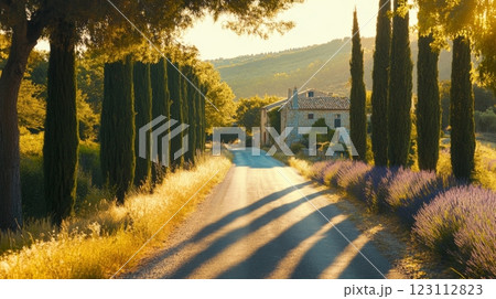 A serene countryside road leads to a charming house. Lush greenery lines the path, creating a peaceful atmosphere. The warm sunlight adds a golden hue. Generative AI 123112823