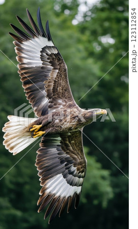 A majestic eagle soars high in the sky. Its wings spread wide, showcasing striking patterns. The beauty of nature is truly captivating. Generative AI 123112854