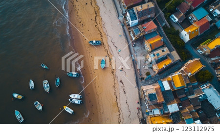 Aerial view of a picturesque beach with colorful boats anchored along the shore. Vibrant houses provide a unique backdrop. Experience the beauty of coastal life. Generative AI 123112975