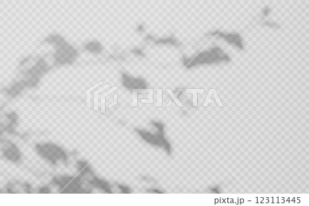 Abstract shadow overlay from foliage on a transparent background. 123113445