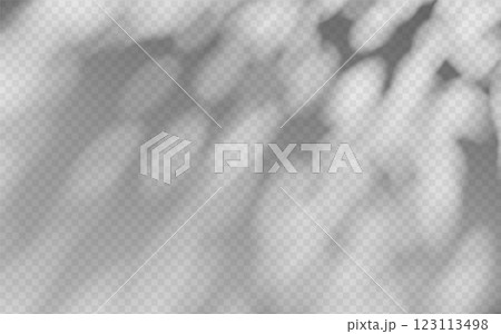 Abstract shadow overlay from foliage on a transparent background. 123113498