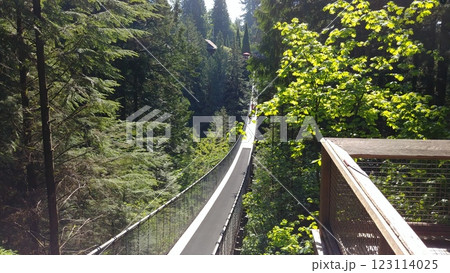Capilano suspension bridge in North Vancouver 123114025