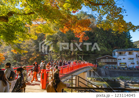 豊田市の香嵐渓の紅葉と待月橋の風景(愛知県) 123114045