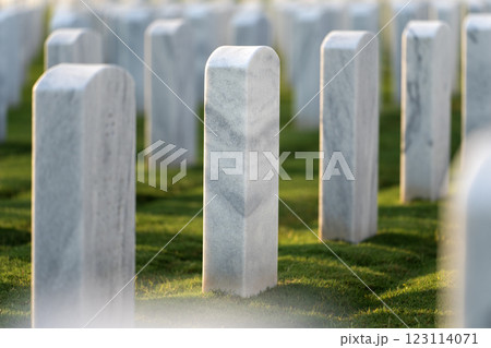 Memorial Day concept. Sarasota National Cemetery with rows of white tomb stones on green grass 123114071