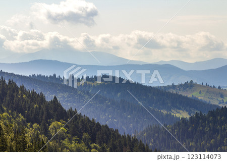 Majestic view of magnificent Carpathian mountains, densely covered with green forest, Ukraine. Foggy mountain ridges in distance, soft sunshine, bright sky with white clouds. Majestic view of magnificent Carpathian mountains, densely covered with green forest, Ukraine. Foggy mountain ridges in distance, soft sunshine, bright sky with white clouds. 123114073