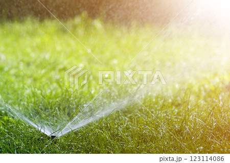 Lawn water sprinkler spraying water over lawn green fresh grass in garden or backyard on hot summer day. Automatic watering equipment, lawn maintenance, gardening and tools concept. Lawn water sprinkler spraying water over lawn green fresh grass in garden or backyard on hot summer day. Automatic watering equipment, lawn maintenance, gardening and tools concept. 123114086