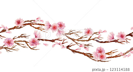 Branches with sakura flowers isolated on a white background. Spring blooming cherry blossom flowers for Hanami festival. Seamless border. Watercolor template for card, poster, textile, fabric, web Branches with sakura flowers isolated on a white background. Spring blooming cherry blossom flowers for Hanami festival. Seamless border. Watercolor template for card, poster, textile, fabric, web 123114188