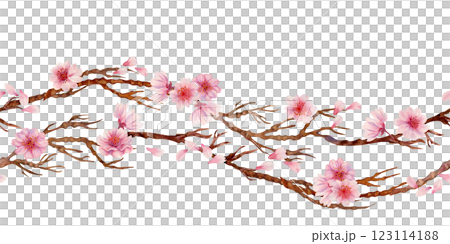 Branches with sakura flowers isolated on a white background. Spring blooming cherry blossom flowers for Hanami festival. Seamless border. Watercolor template for card, poster, textile, fabric, web Branches with sakura flowers isolated on a white background. Spring blooming cherry blossom flowers for Hanami festival. Seamless border. Watercolor template for card, poster, textile, fabric, web 123114188