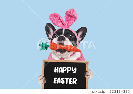 Happy Easter. Cute puppy and congratulatory inscription 123114336