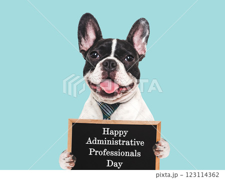 Happy Administrative Professionals Day. Lovable puppy and congratulatory inscription 123114362