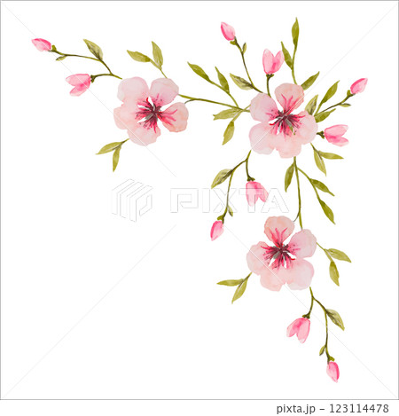 Watercolor Flower Corner Frames 123114478