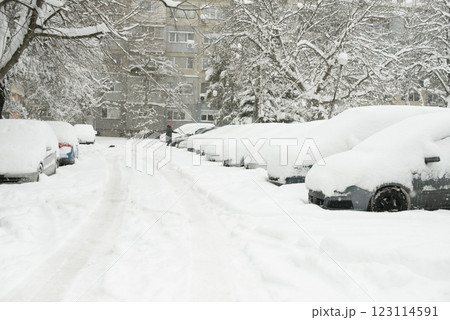 Woman Removing Snow from Car as Cat Walks on Winter Street 123114591