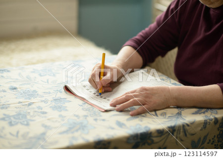 Elderly Woman Engaged in Mental Stimulation with Crossword Puzzle Elderly Woman Engaged in Mental Stimulation with Crossword Puzzle 123114597