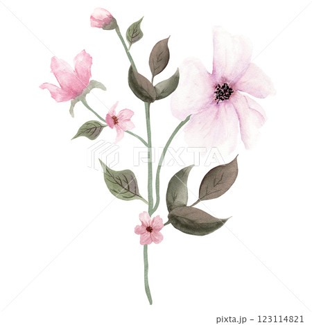 Watercolor composition of pink fantasy flowers with buds with green leaves on white background Watercolor composition of pink fantasy flowers with buds with green leaves on white background 123114821