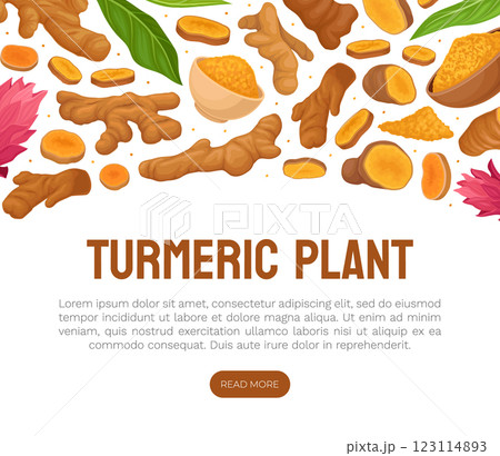 Turmeric Root Nature Spice and Plant Banner Design Vector Template 123114893