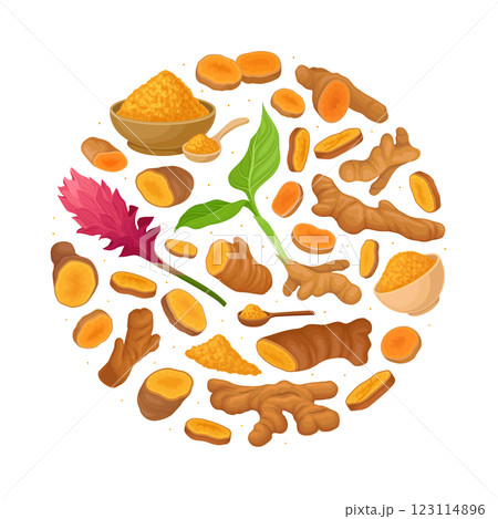 Turmeric Root Nature Spice and Plant Round Composition Vector Template Turmeric Root Nature Spice and Plant Round Composition Vector Template 123114896