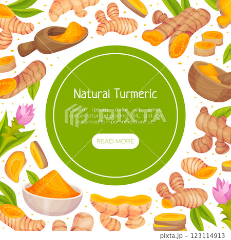 Turmeric Root Nature Spice and Plant Banner Design Vector Template 123114913