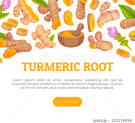 Turmeric Root Nature Spice and Plant Banner Design Vector Template Turmeric Root Nature Spice and Plant Banner Design Vector Template 123114914