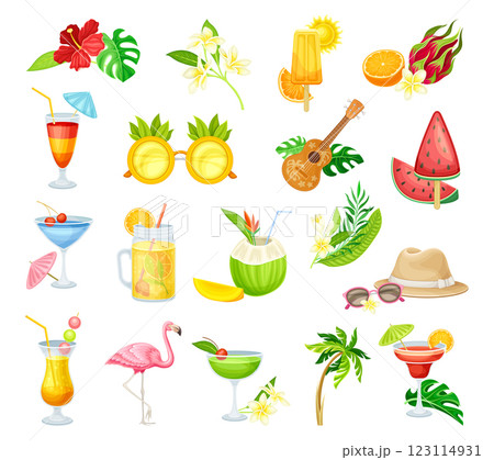 Tropical Party and Summer Object and Element Vector Set 123114931