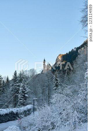 Neuschwanstein Castle in Winter, Snow-Covered Fairytale Landscape with Rocky Hillside, Dense Evergreen Forest, and Golden Light, Serene Bavarian Countryside, Perfect for Travel and Fantasy Themes Neuschwanstein Castle in Winter, Snow-Covered Fairytale Landscape with Rocky Hillside, Dense Evergreen Forest, and Golden Light, Serene Bavarian Countryside, Perfect for Travel and Fantasy Themes 123114989