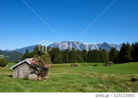 Rustic Wooden Cottage in Alpine Meadows: A Summer Retreat Amidst Majestic Mountains and Clear Blue Skies Rustic Wooden Cottage in Alpine Meadows: A Summer Retreat Amidst Majestic Mountains and Clear Blue Skies 123115001