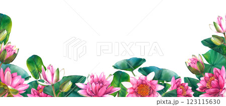 Horizontal banner with beautiful pink lotus flowers, green leaves and buds on isolated background. Hand drawn illustration of water lilies. Bouquet of exotic greenery for spa, zen or wedding design. 123115630